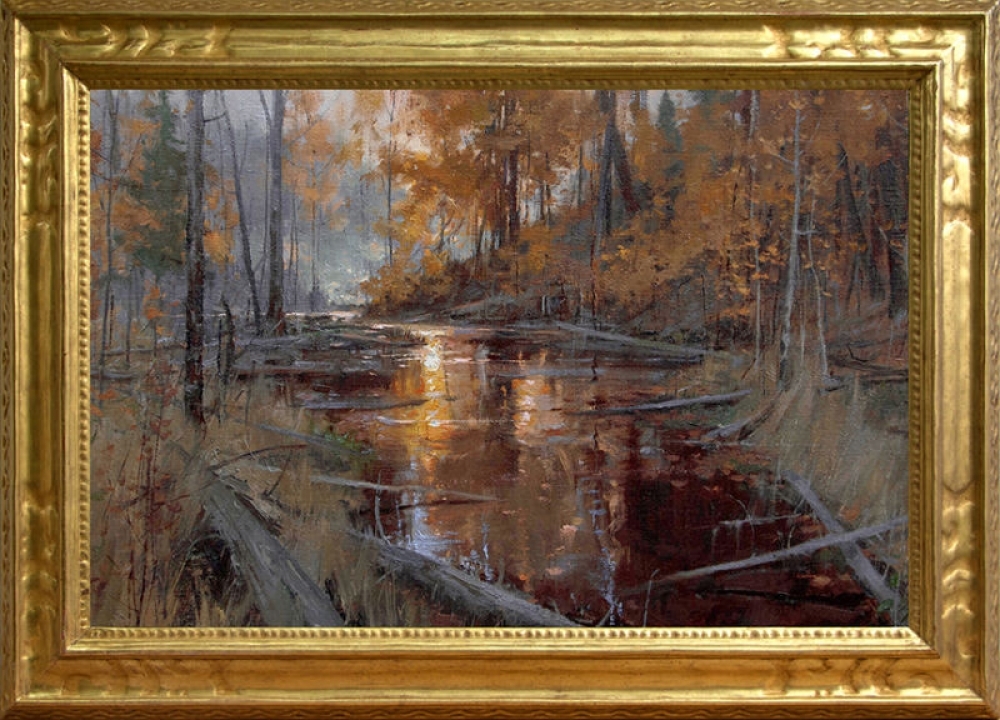 The Wilds of Aquetong Creek