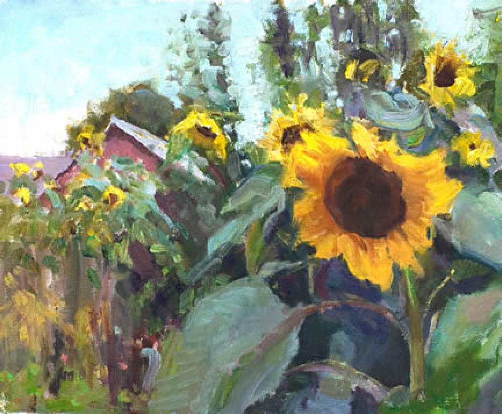 Honfleur Sunflowers