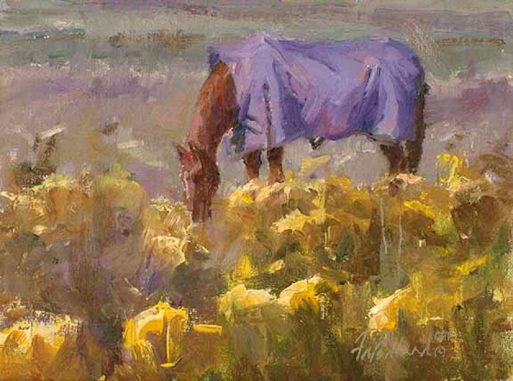 Purple Blanket and Sage