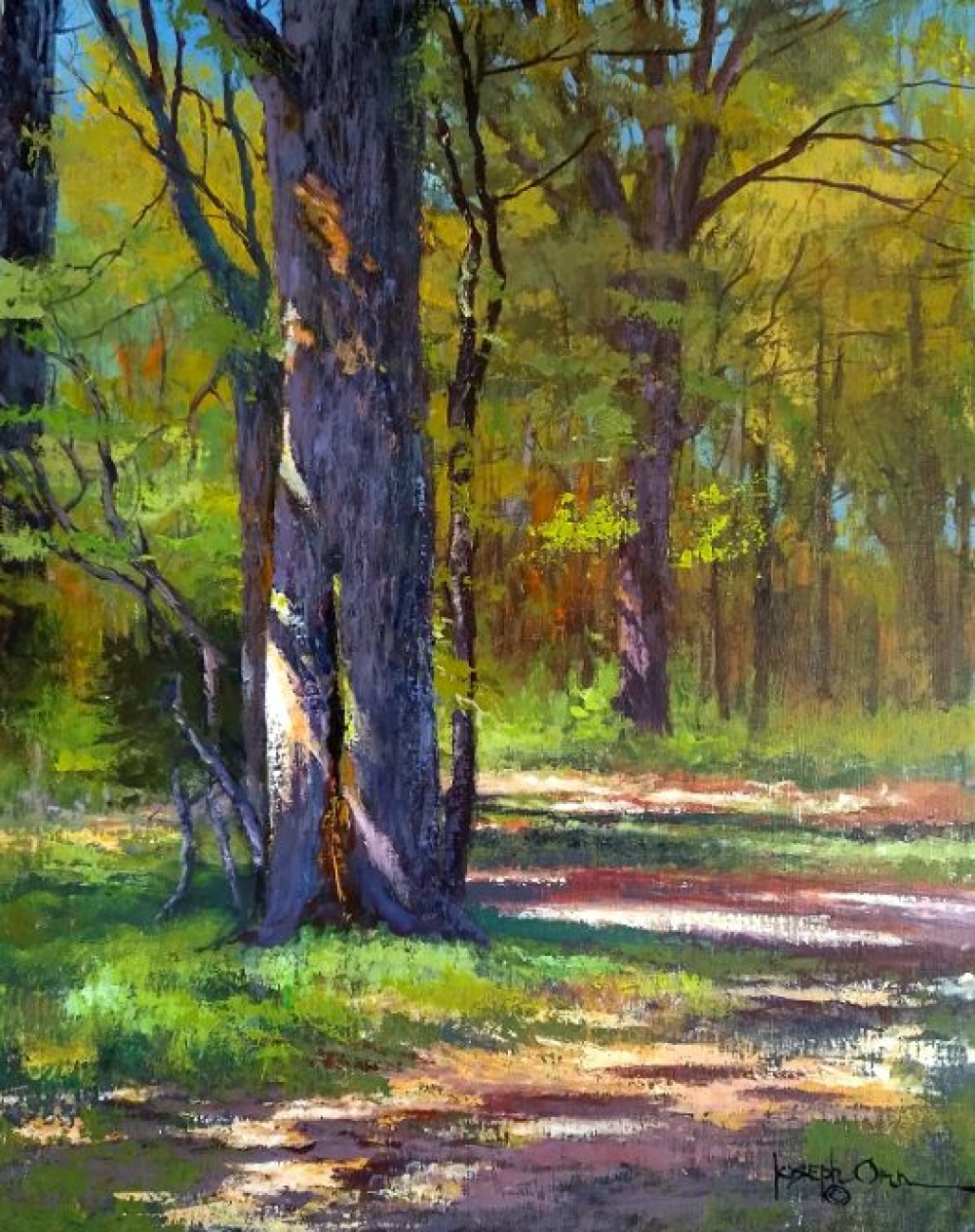 Woodland Observation
