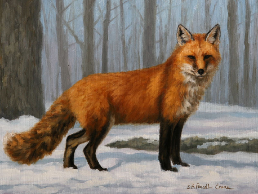 Winter Coat