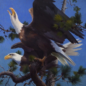  Click to See Echoes of Freedom
