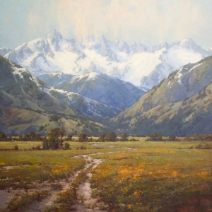  Click to See The Poppies and the Snow