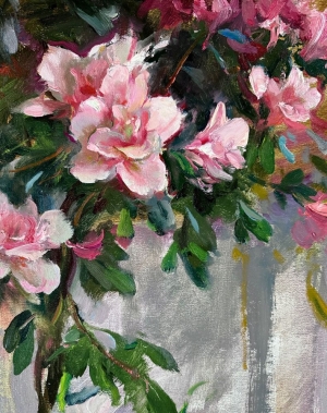  Click to See Pink Azaleas