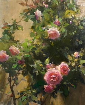  Click to See Roses of Provence
