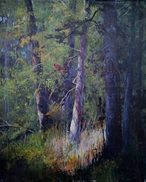  Click to See Forest Notes - Arriving Soon