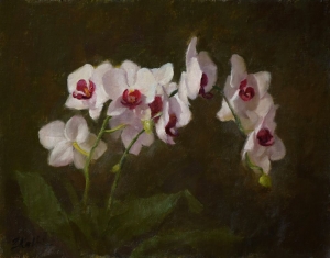  Click to See Orchids